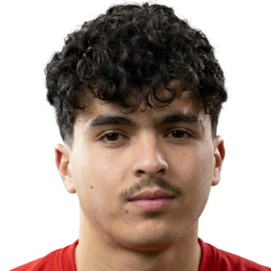 بن أحمد بن دحمان