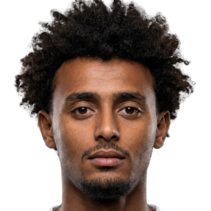 Akram Adel