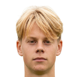 Levi Hansas