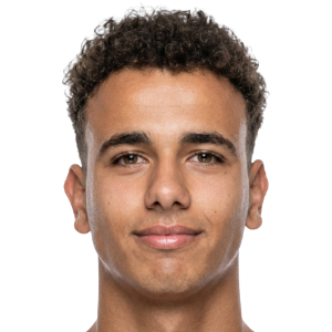 Ibrahim Abdelfattah