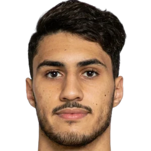 أمير حسن
