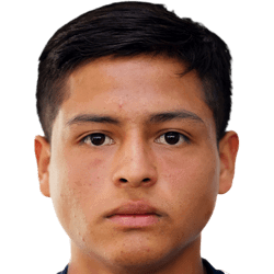 Yonathan del Valle