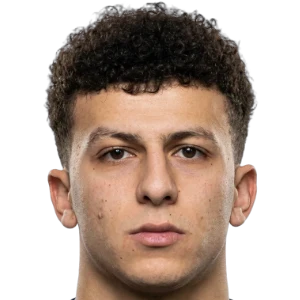 Ali Mahmoud