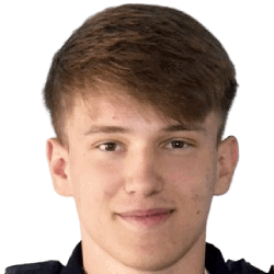 Domagoj Ivan Maric
