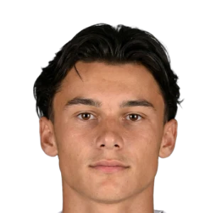 Dominik Papic