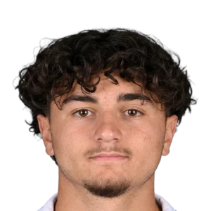 Denis Sahin