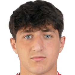 Davit Gogilashvili