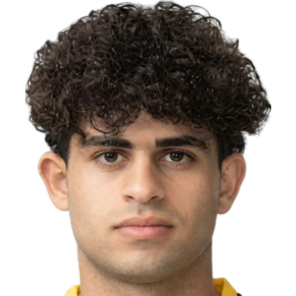 Mohammed Abdulrahman Assi