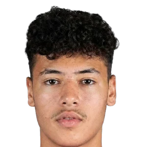 Ali Nader Mahmoud