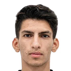 حميد رضا فيروزي