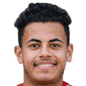محمد عاطف