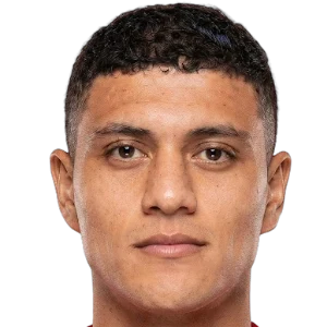 Mohamed Hany