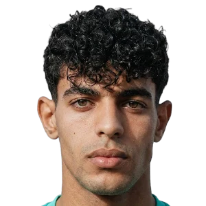 Ziad Tarek