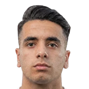Walid Mostafa