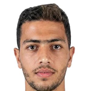 محمود الحلواني