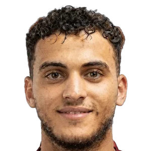 هشام حافظ