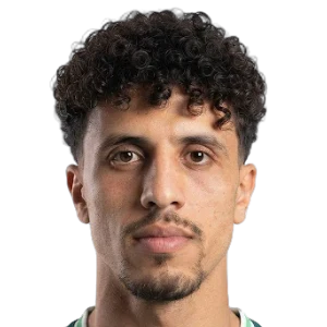 أحمد الشاذلي