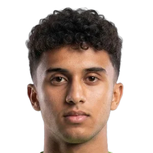 حسام حسن
