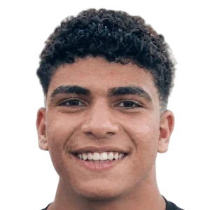 Mohamed Ibrahim