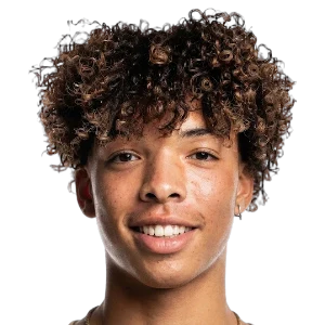 Dominik Chong-Qui