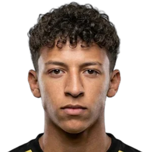 Mohamed Walid