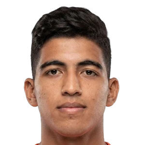Ahmed Mahmoud