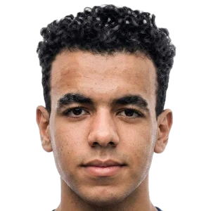 Mohamed El Nahas