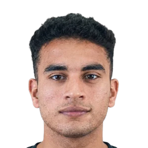 Mohamed Hamdi