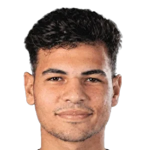Abdelfattah Sheta