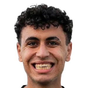 Ayman Amir Abdelaziz