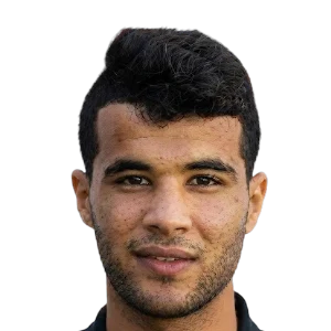 Walid Farag