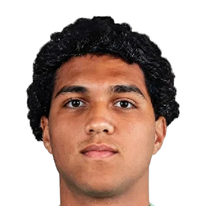 Badreldin Walid
