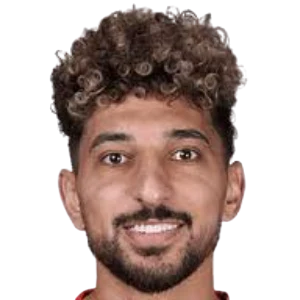 أحمد هاني