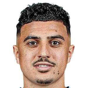 Karim Hafez