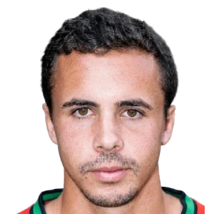 Pedro Marques