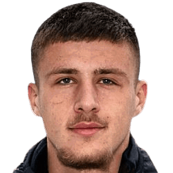 Haris Berbic