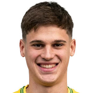 Niko Sepic