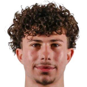 جيورجي بيديانا شفلي