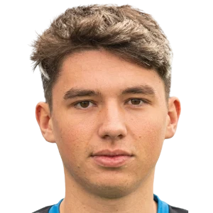 Roko Domjanic