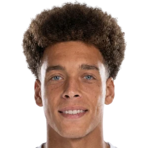 Axel Witsel