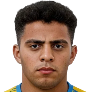 Hassan Mansour