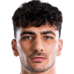 Amirmohammad Razzaghinia
