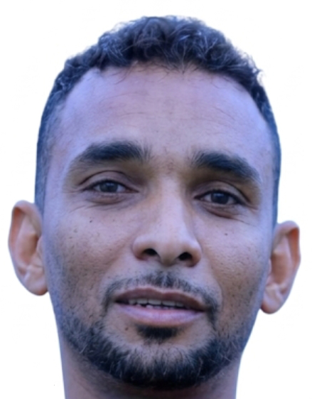 عماد منصور