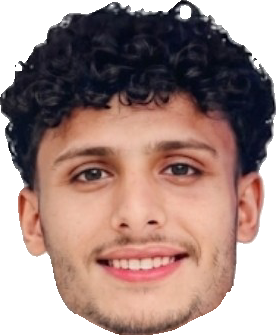 أيمن محمد عبد الرب