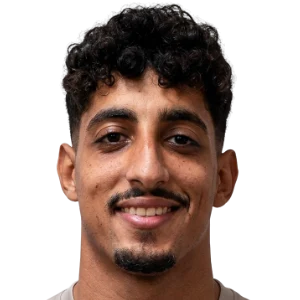 أسامة الصافي