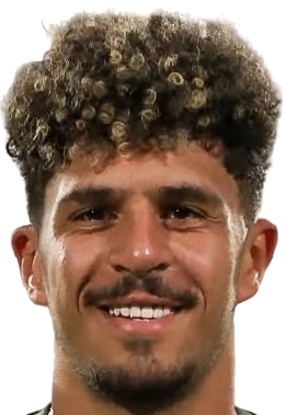 محمود ممدوح