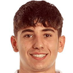 هوغو توريس
