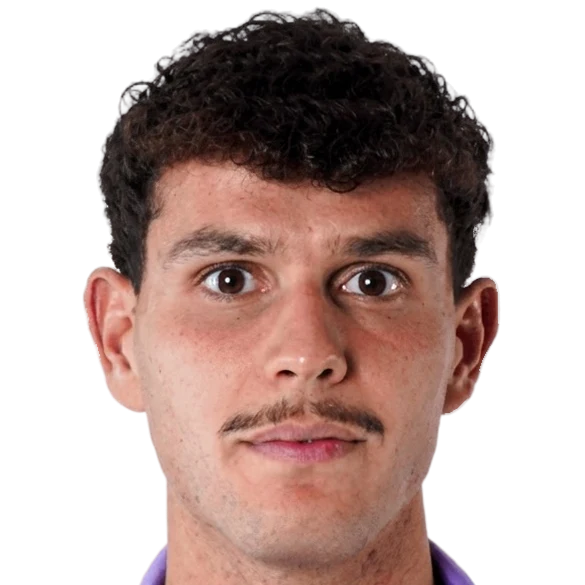 تريلي