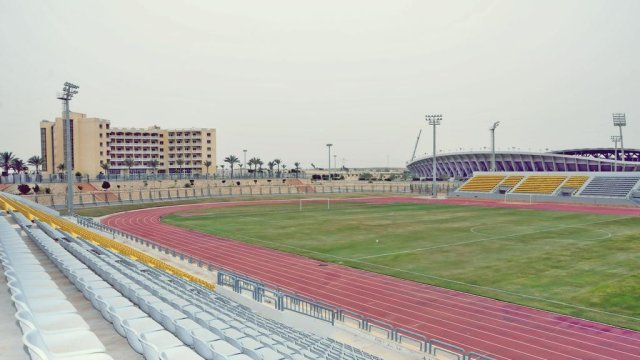 استاد توليب