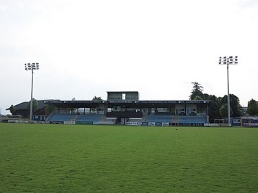 استاد ماكس أيشر